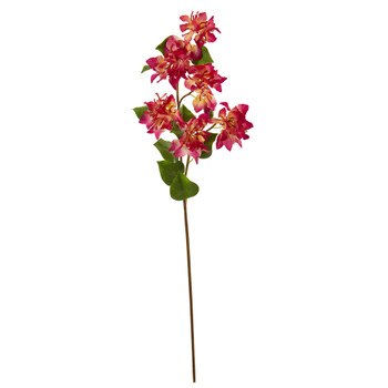 37 Bougainvillea Flower Bloom Collection - SKU #2343